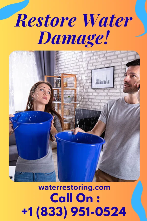 water restoration Horizon Water Damage Rand