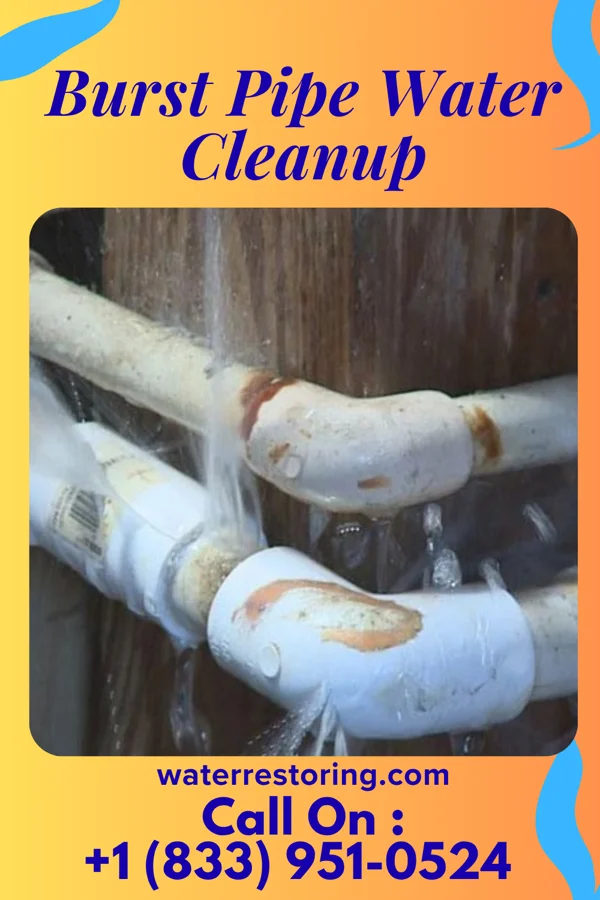 Burst Pipe Water Cleanup in Rand, WV