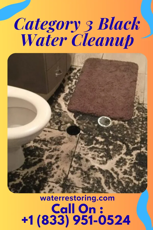 Category 3 Black Water Cleanup in Rand, WV