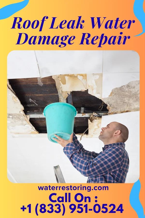 Roof Leak Water Damage Repair in Rand, WV