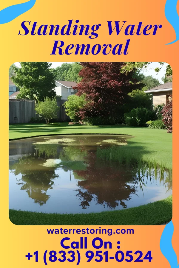 Standing Water Removal in Rand, WV